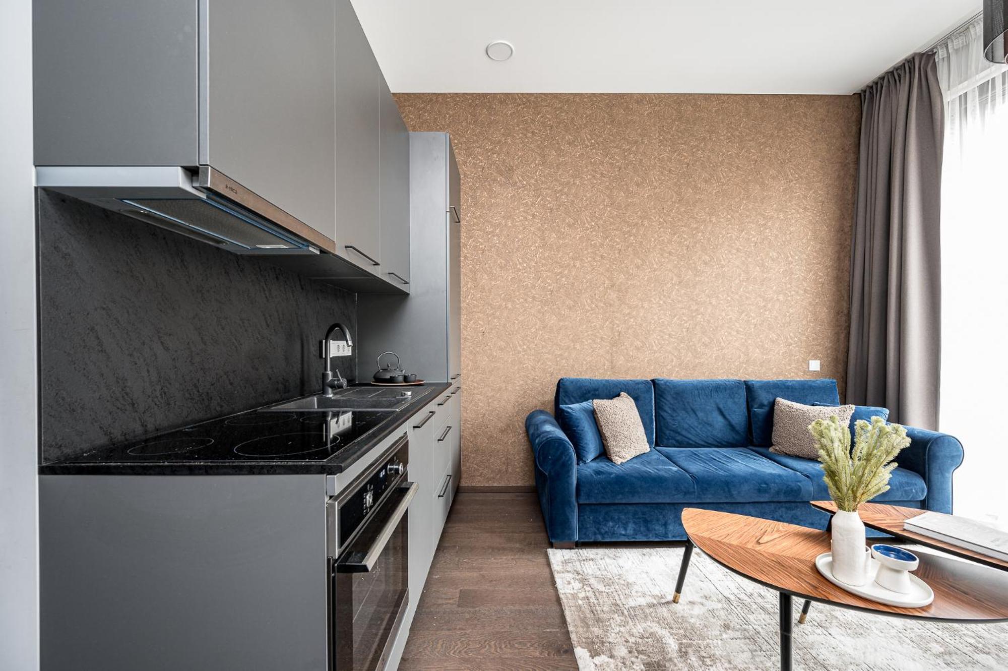 Vilnius Old Town Renessainse Studio 4 Екстериор снимка